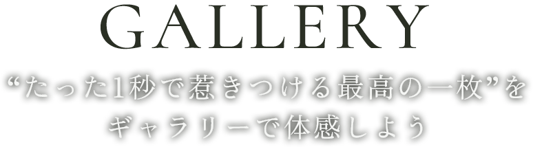 “たった1秒で惹きつける最高の一枚”をギャラリーで体感しよう